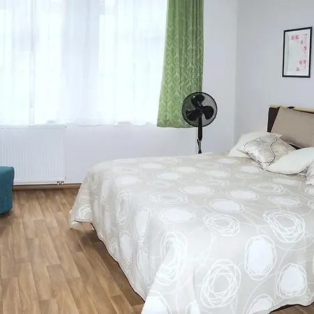 Krakovska 5 Apartament Praga