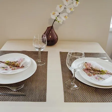 Krakovska 5 Apartament Praga